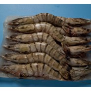 4-6虎蝦 Tiger Shrimps 4-6